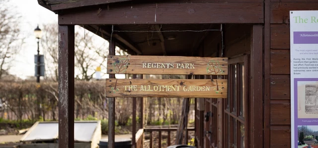The Allotment garden